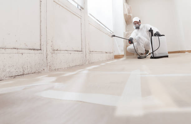 24/7 Emergency Attic Mold Removal experts in Carrboro, NC