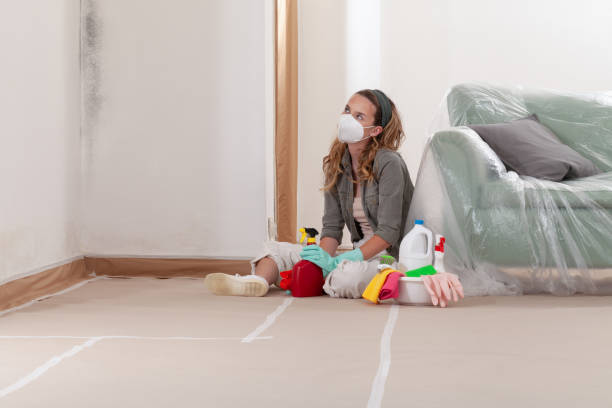 Reliable Mold Remediation contractor in Carrboro, NC by Cheap Mold Removal