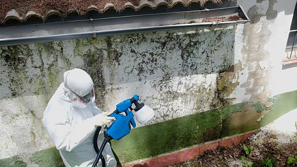 Trusted Mold Remediation service in Carrboro, NC - Cheap Mold Removal